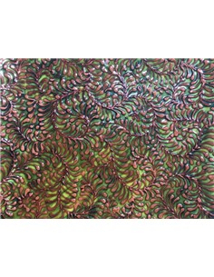 Plato Cuadrado Especial 33 Cm 2