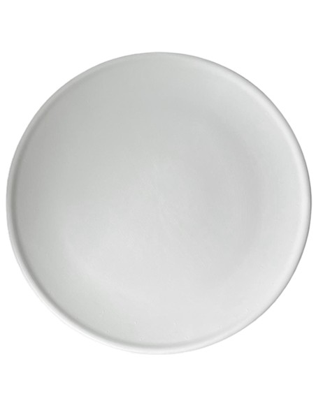 PLATO DE PIZZA 31 CM BIZCOCHO