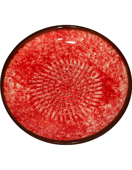 RASCA AJOS 12 CM COLORES LISOS